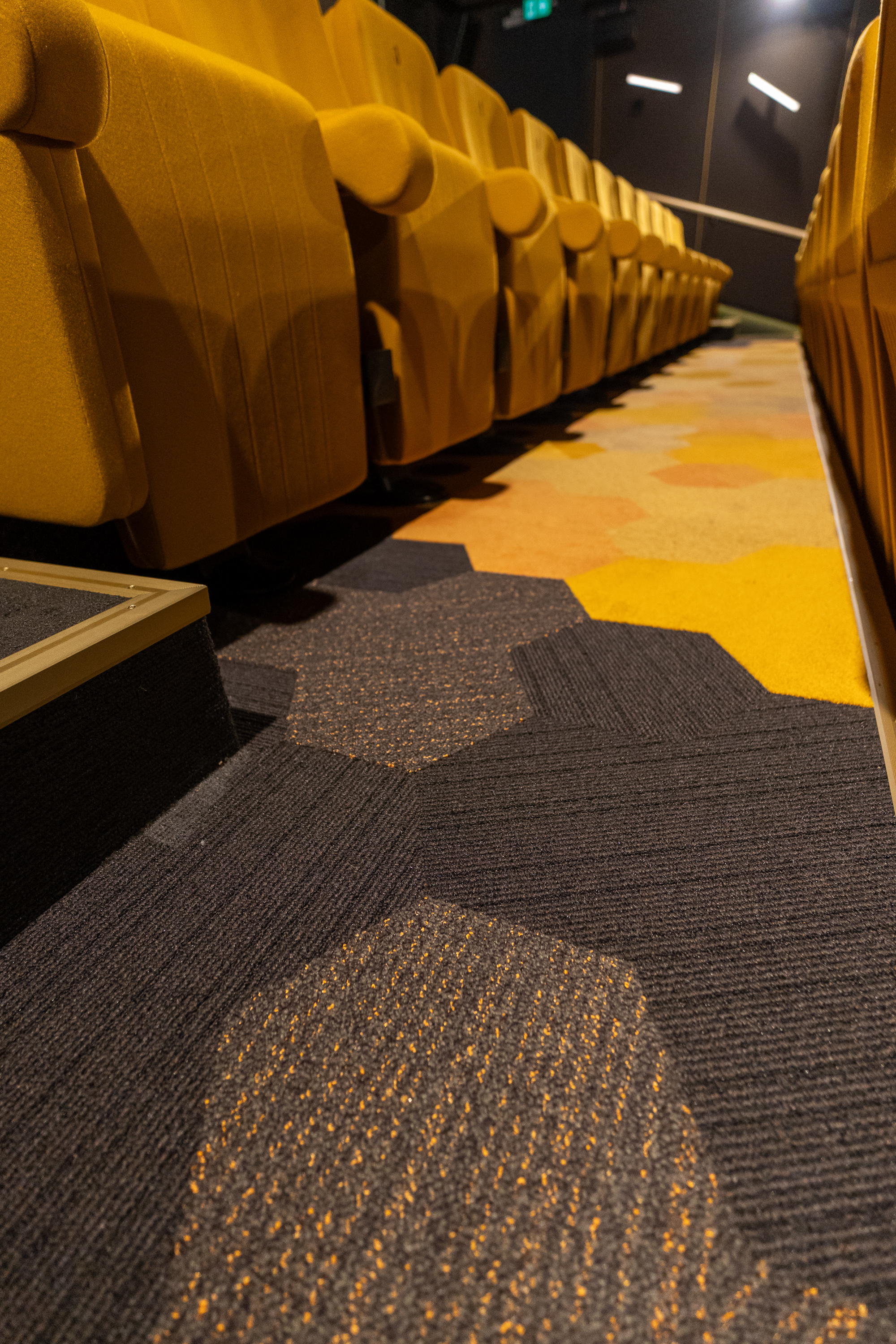 FilmTheater FilmkrantDag-013.jpg